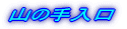 R̎