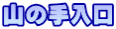 R̎