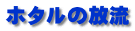 z^̕